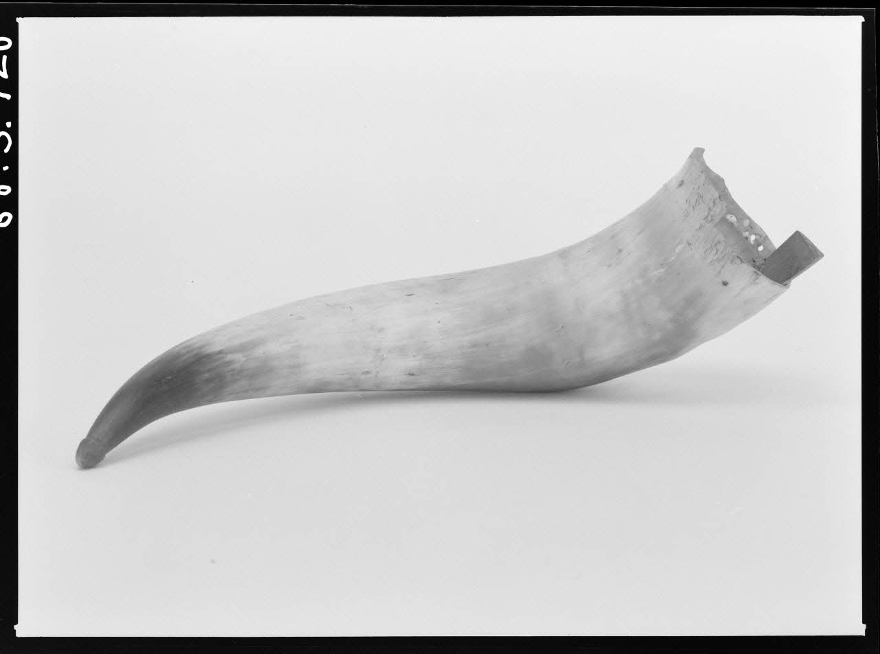 Alain Guey photographie Corne de berger. Provenant de Provence Ile-de-France, France 1968/4/1 Ph.1968.3.720 Photo