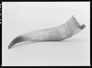Alain Guey photographie Corne de berger. Provenant de Provence Ile-de-France, France 1968/4/1 Ph.1968.3.720  Photo