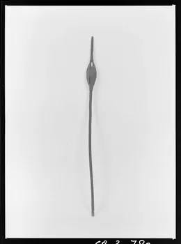 Alain Guey photographie Quenouille de fiançailles, sculptée en bois de myrte. Provenant de Corse Ile-de-France, France 1968/5/1 Ph.1968.3.780  Photo