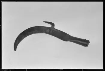 Melle Beck photographie Serpette à élaguer. Provenant de l'Yonne France 1970/5/28 Ph.1970.20.1122  Photo