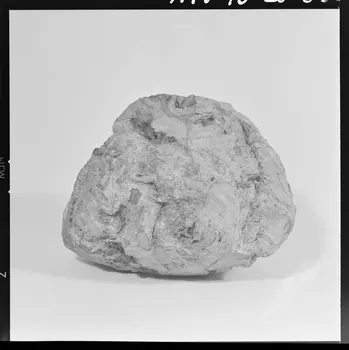 Trouche photographie Boule en cours de fabrication à partir d'une racine de buis. Provient d'Aiguines (Var). Daté de 1946 France 1970/2/27 Ph.1970.20.330  Photo