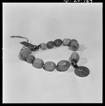 Beck photographie Collier de dentition en ambre provenant de Dordogne. Daté vers 1920 France 1970/4/3 Ph.1970.20.769  Photo