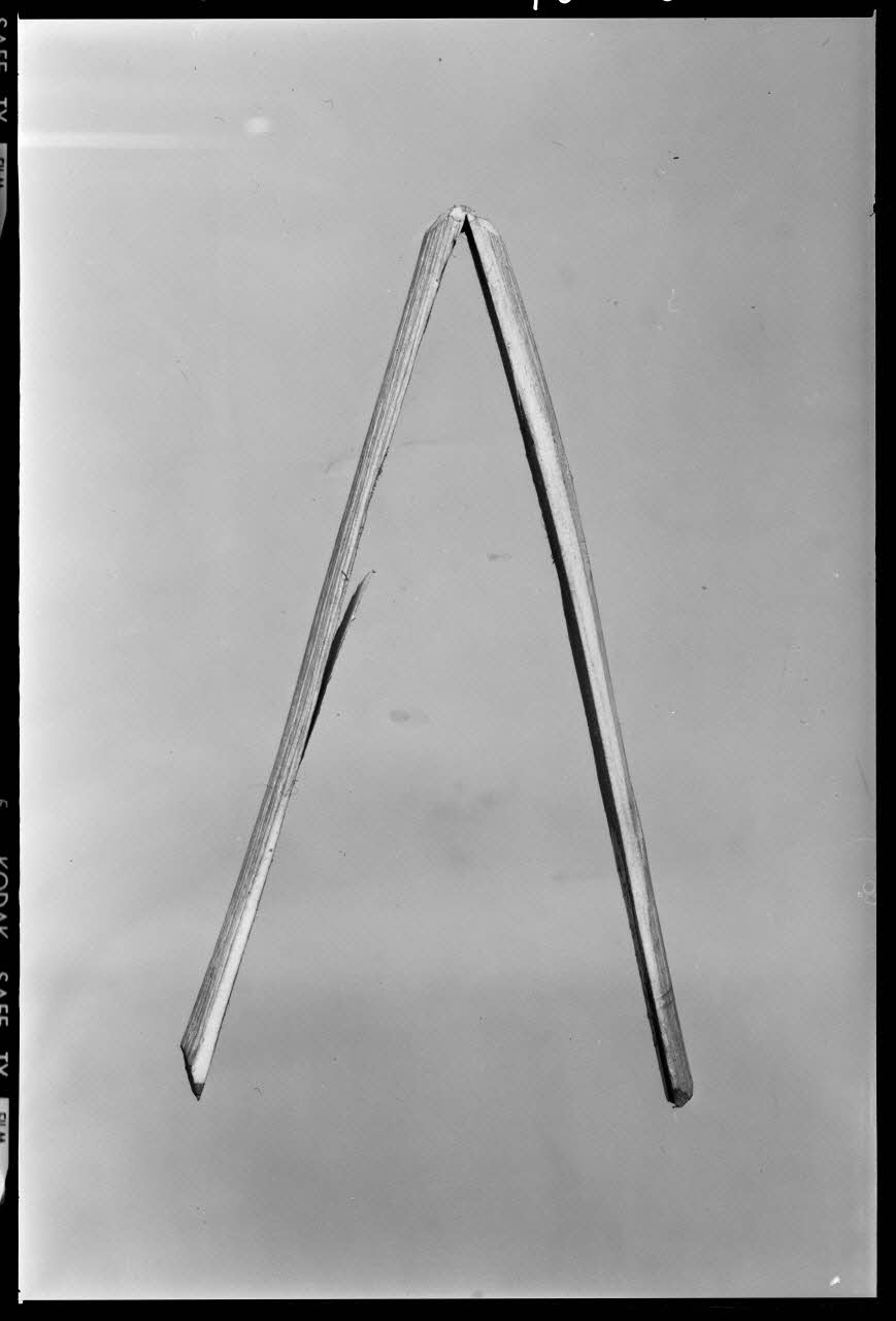 Beck photographie Anche en noisetier. Provenant de l'Aubrac France 1970/10/1 Ph.1970.20.2328 Photo