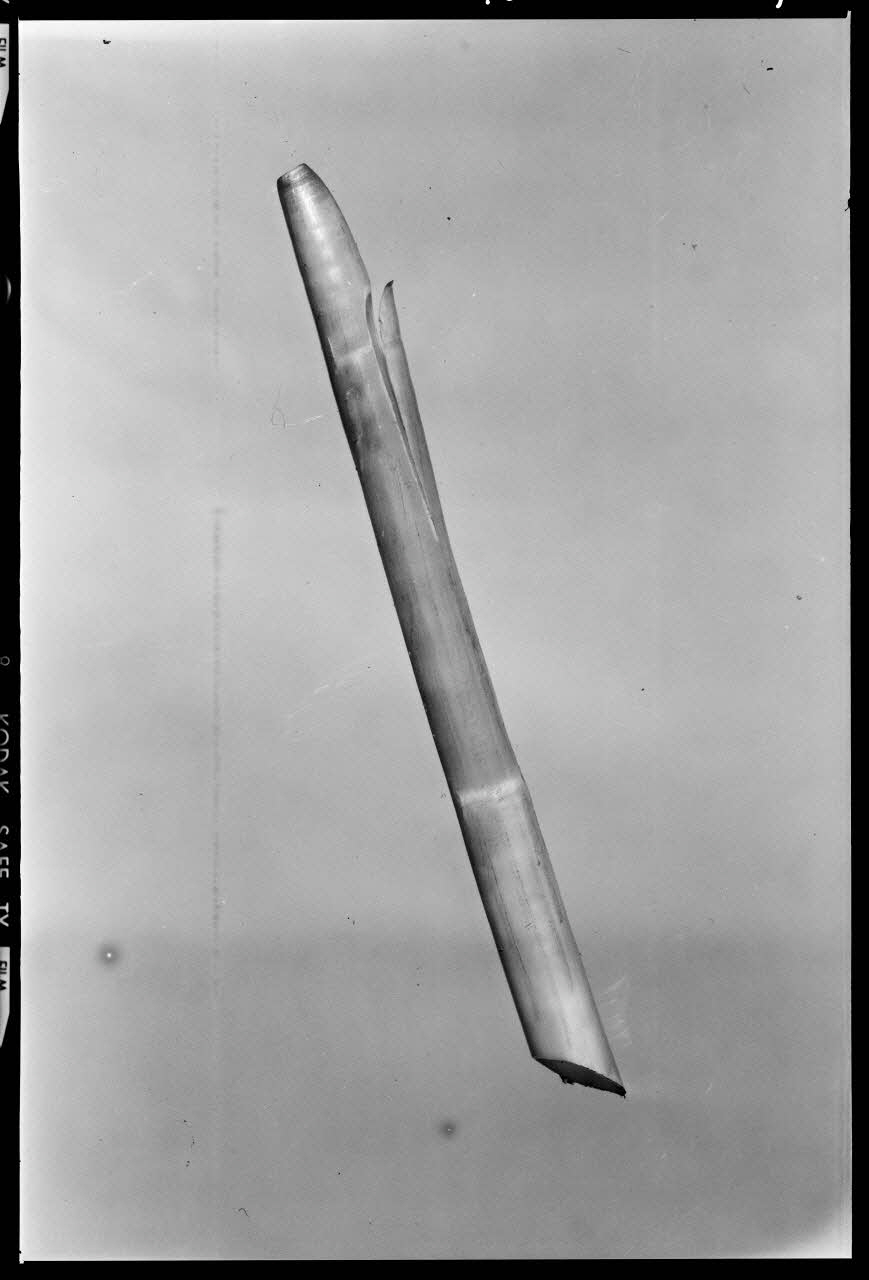 Beck photographie Anche simple en plume d'oie. Provenant des Hautes-Pyrénées France 1970/10/1 Ph.1970.20.2329 Photo