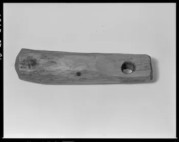 Beck photographie Battant pour sonnaille : bourgeon de sapin. Provenant des Pyrénées-Atlantiques France 1970/10/8 Ph.1970.20.2436 Photo