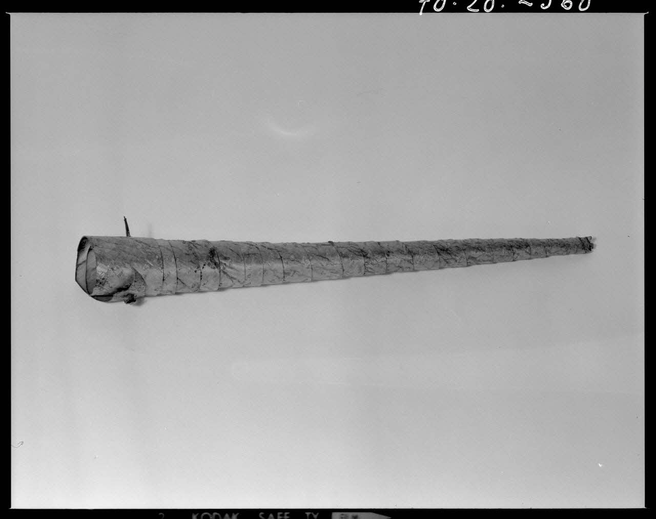 Beck photographie Hautbois en écorce de noisetier, avec une épine. Provenant de Côte-d'Or France 1970/10/16 Ph.1970.20.2560 Photo