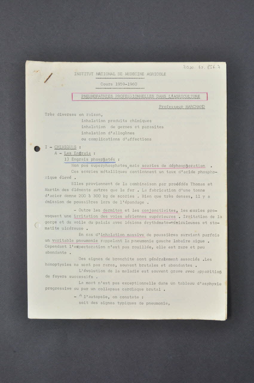 DOCUMENTS DIVERS 1960 2000.60.856.7 Photo Mucem