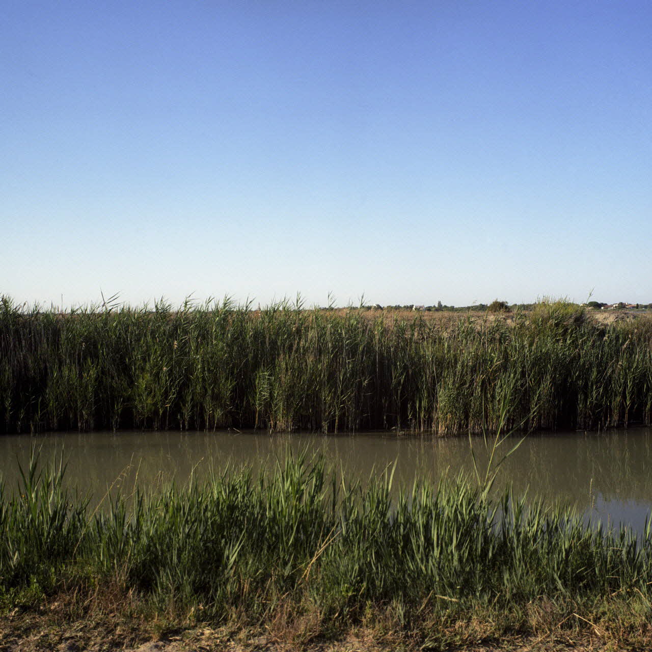 Valérie Leray tirage photographique Série photographique "Place with no Name", Field rice Saliers, Arles 2006 / Internment Camp for Gypsies (Roma)1942-1944 (Fr) Provence-Alpes-Côte d’Azur, France 2006 2023.12.3 Photo Valérie Leray