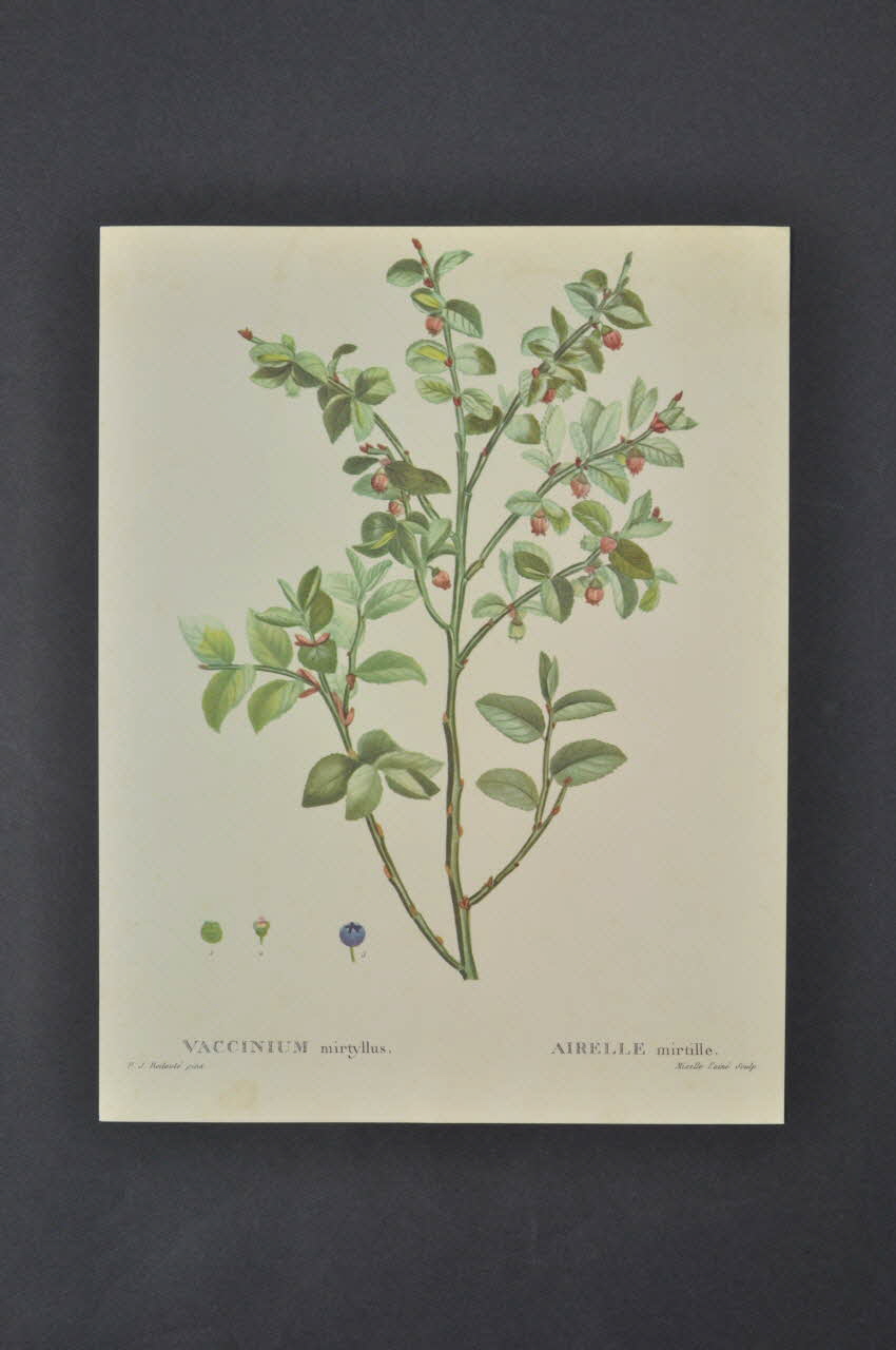 reproduction 1970 2000.60.906.18 Photo Mucem