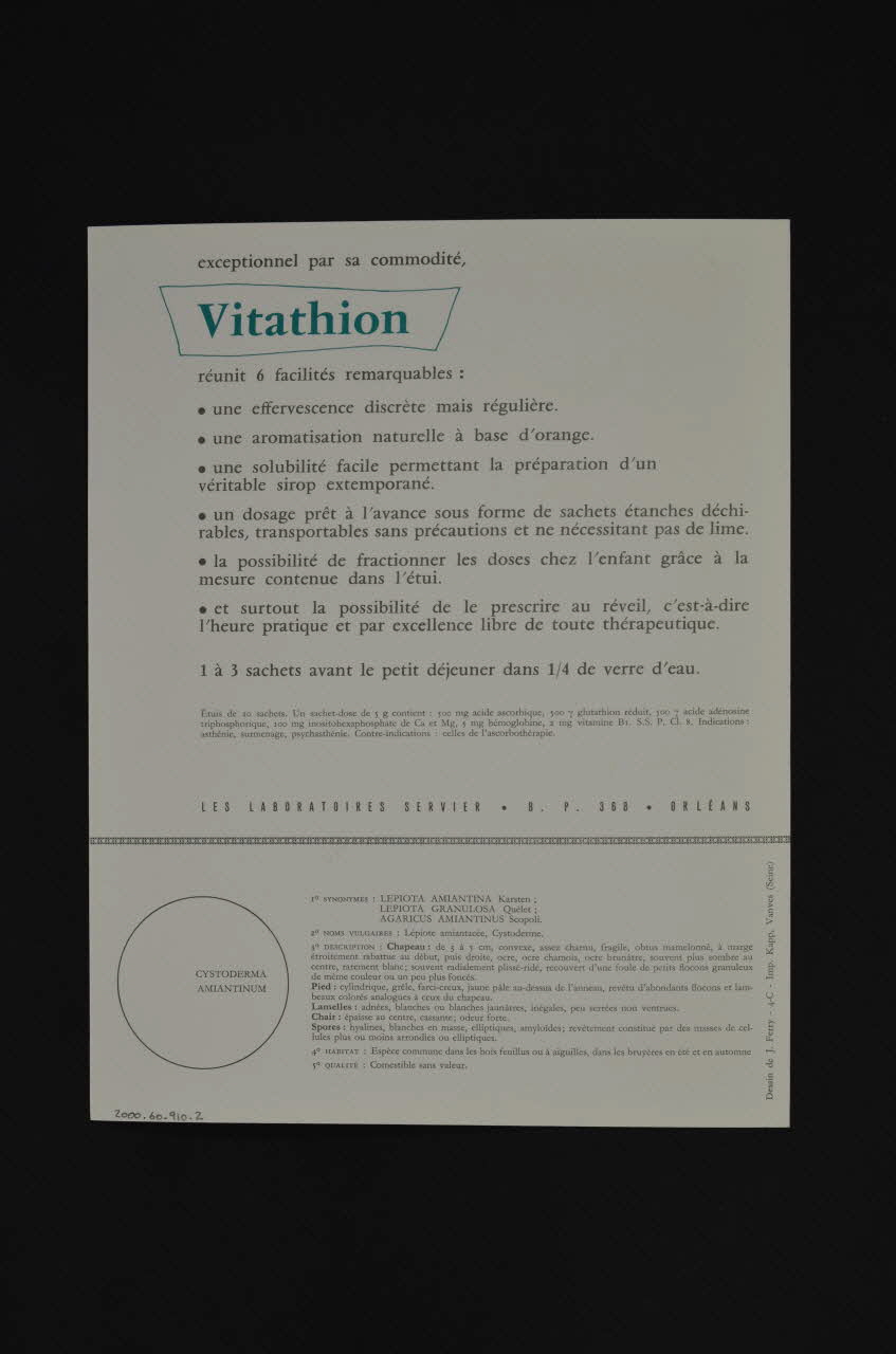 reproduction 1970 2000.60.910.2 Photo Mucem