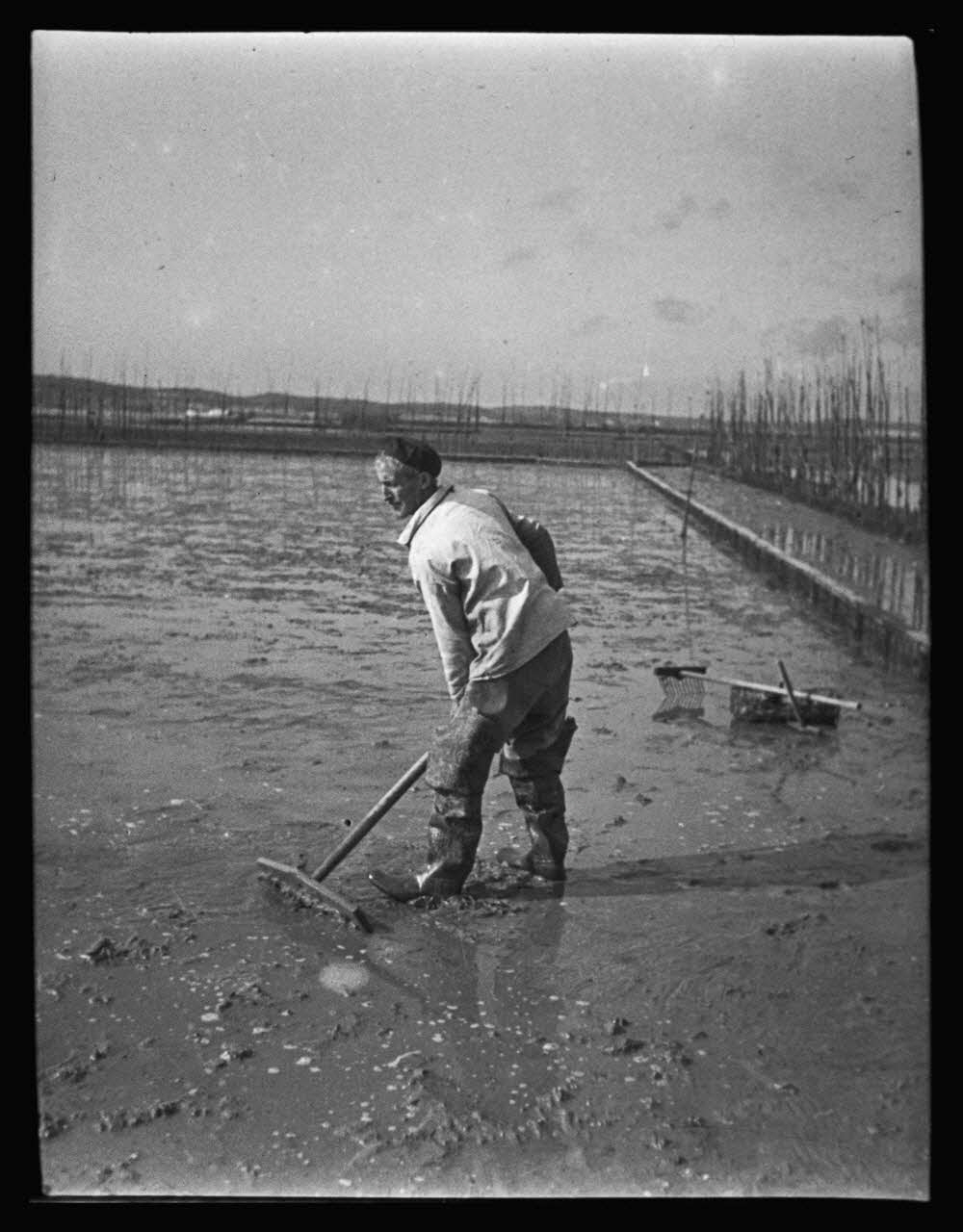 photographie Ostréiculteur. Auteur G. Capdeville, instituteur. Usage pédagogique. Ramassage des huîtres Ph.1984.5.1 Photo