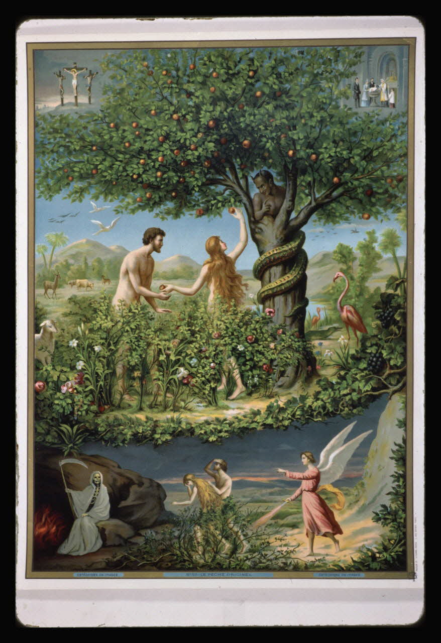 photographie Catéchisme en images : paradis (genèse). Chromolithographie aux éditions Bonne Presse Ph.1984.54.58 Photo