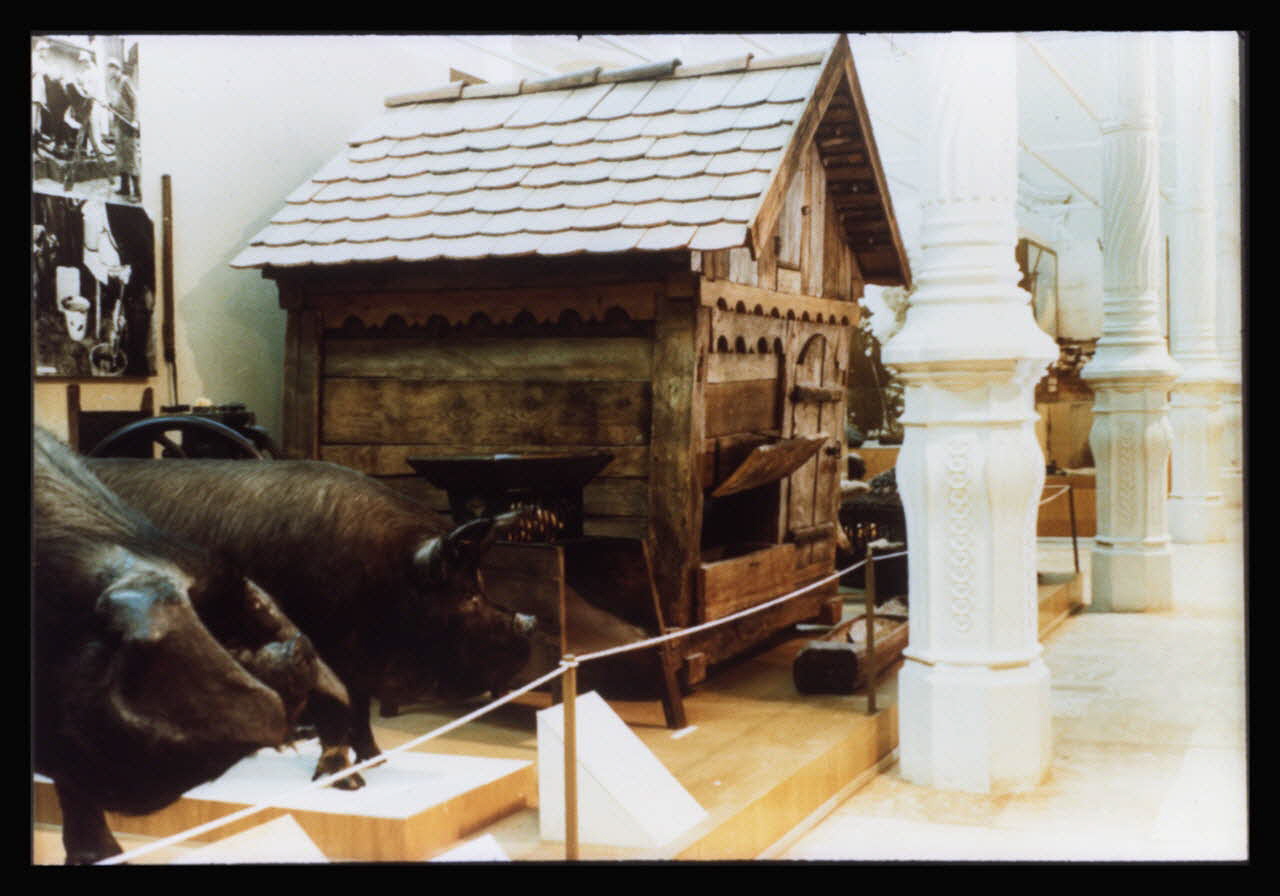 photographie Musée d'agriculture de Budapest. Construit d'après les plans d'Ignac Alparis (1902-1907). Elevage des porcins. Vitrine d'exposition : maquette d'une porcherie Ph.1984.70.10  Photo