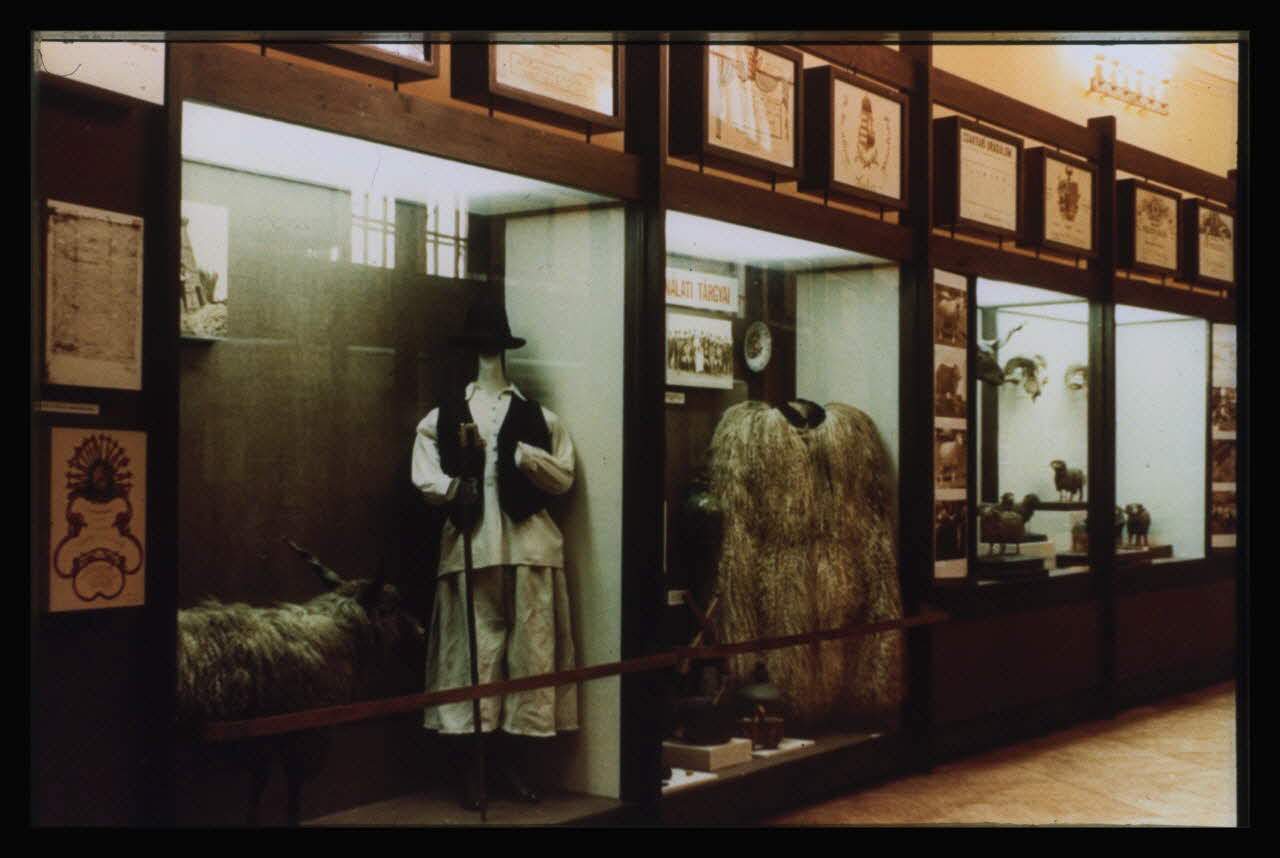 photographie Musée d'agriculture de Budapest. Construit d'après les plans d'Ignac Alparis (1902-1907). Vitrine d'exposition : différentes races de moutons et Mérinos Ph.1984.70.12 Photo