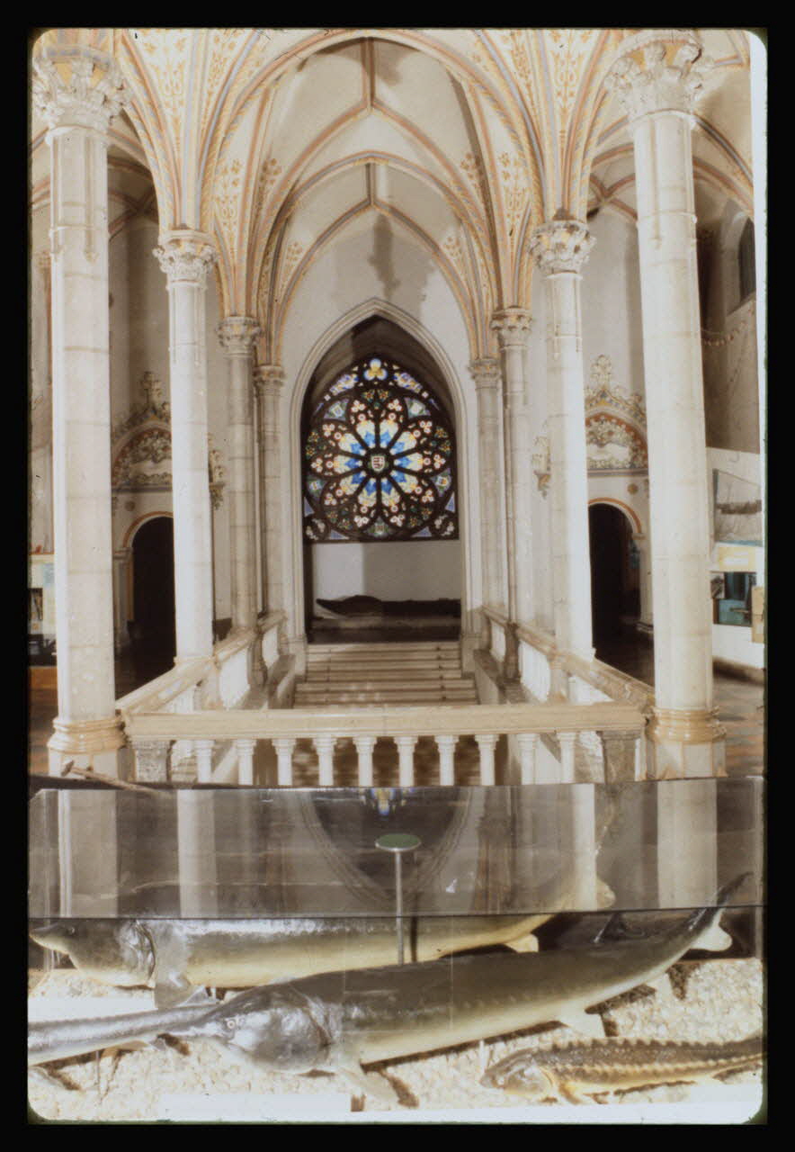 photographie Musée d'agriculture de Budapest. Construit d'après les plans d'Ignac Alparis (1902-1907). Partie intérieure du musée : nef et vitrail avec vitrines disposées autour Ph.1984.70.17 Photo