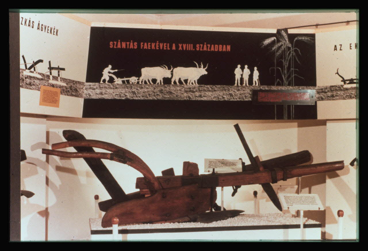 photographie Musée d'agriculture de Budapest. Construit d'après les plans d'Ignac Alparis (1902-1907). Vitrine d'exposition : charrue de 1720 Ph.1984.70.3 Photo