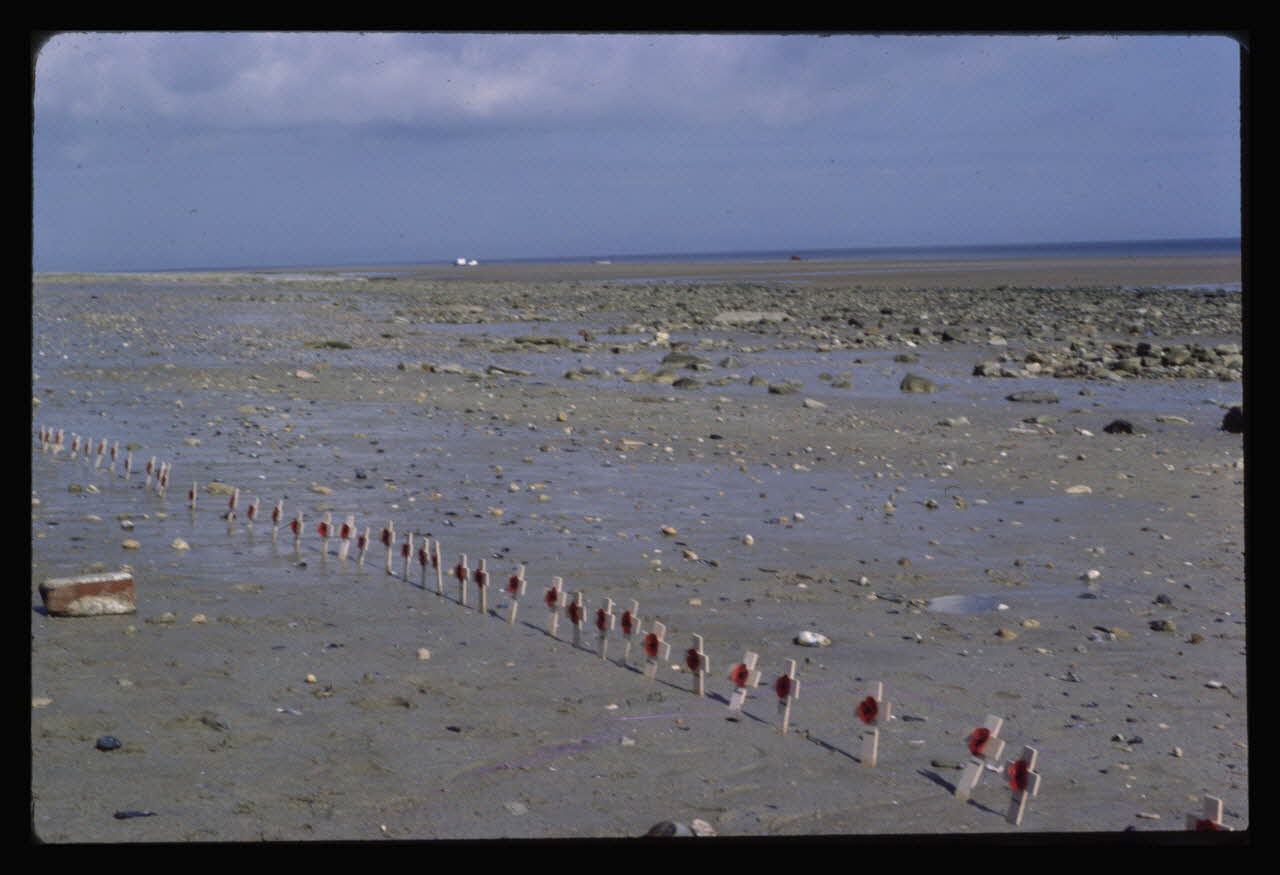 Jean Cuisenier photographie MNATP. Enquête conduite par Jean Cuisenier en Normandie pour la fête commémorative du débarquement du 6 Juin 1944 (1984) Basse-Normandie, France 1984 Ph.1984.74.101  Photo