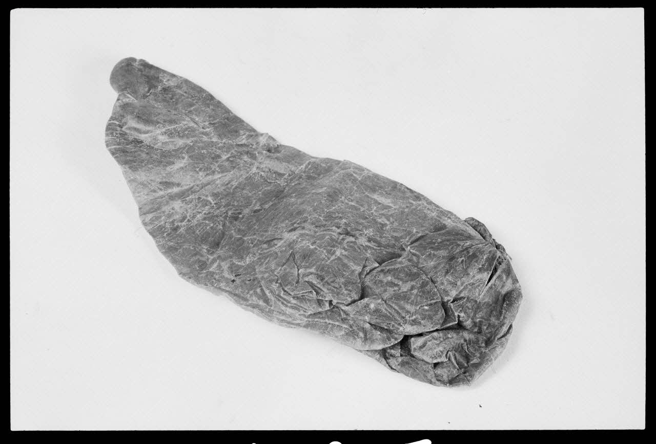 photographie Objet domestique pour la fabrication de produits laitiers. Panse d'agneau pour préparer la présure. 1962 Ph.1988.1.197 Photo