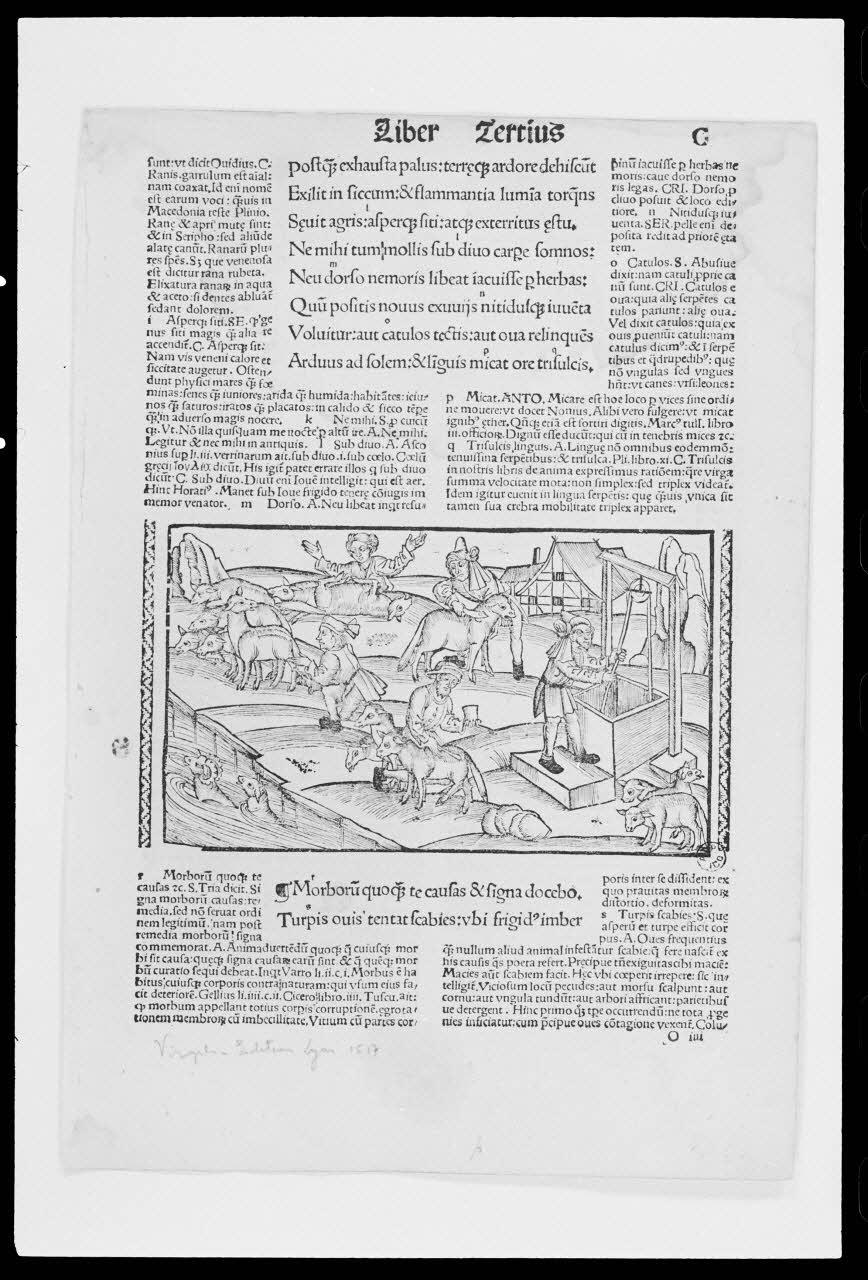 photographie "La toute et le travail de la laine". Illustration datée de 1517, extraite des "Géorgiques" de Virgile Ph.1988.2.699 Photo