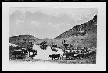 photographie " Plan-Praz". Carte postale Ph.1988.42.20 Photo
