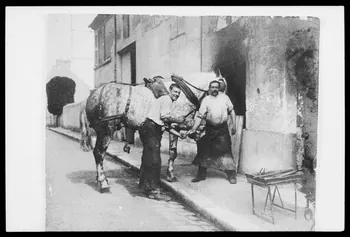 photographie Monsieur Carré et son aide devant la forge. Ferrage des chevaux. Maréchal-ferrant jusqu'en 1917 Ph.1988.6.2  Photo