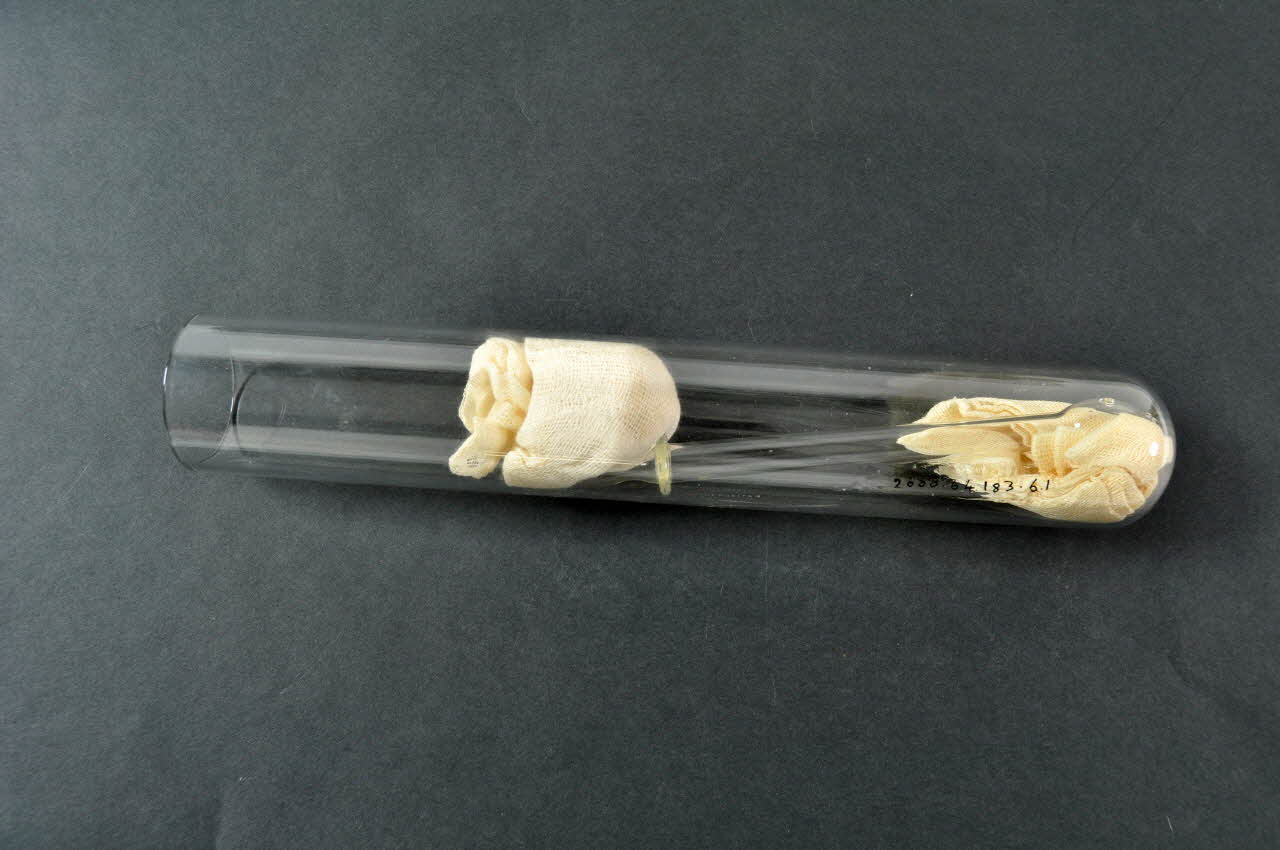 EPROUVETTE 2000.64.183.6.1-4 Photo Mucem