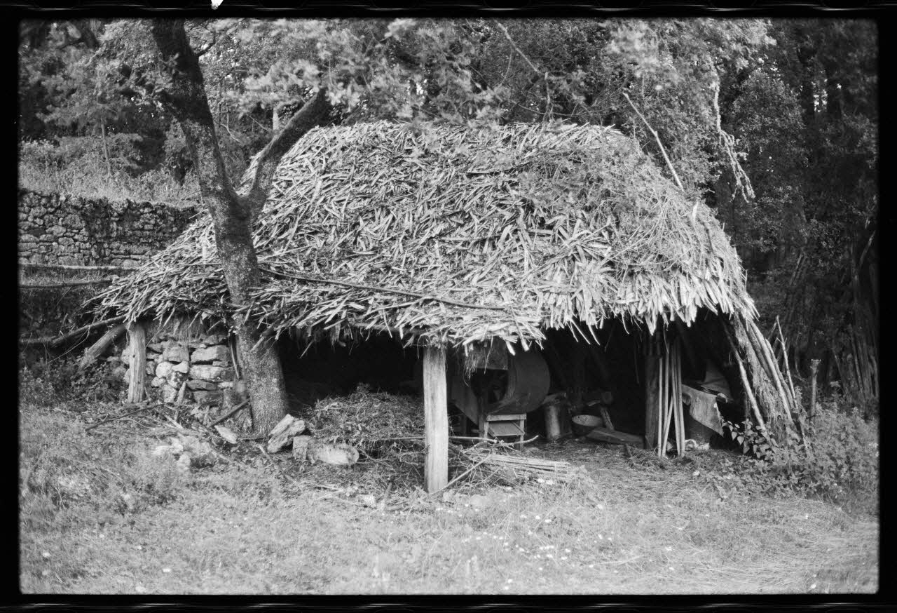 photographie Hutte de bûcheron Ph.1977.101.3 Photo