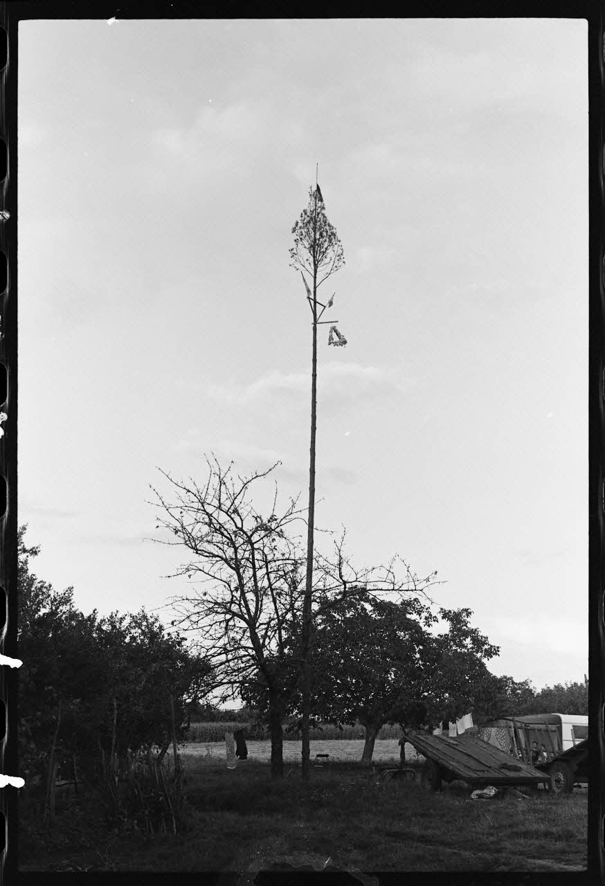 Gérard Turpin photographie Arbre de Mai à l'élection du conseil municipal. Mât de cocagne en l'honneur de l'élection du maître de maison du Conseil Municipal Aquitaine, France 1977/8/28 Ph.1977.111.1 Photo