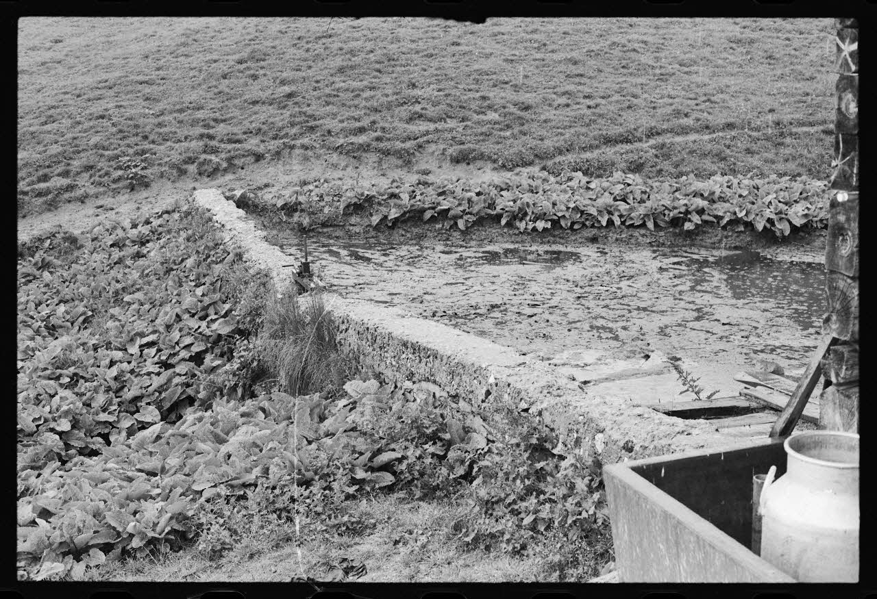 photographie Fosse à purin Ph.1977.133.34 Photo