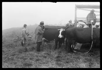 photographie Montagne Girard-Bon Ph.1977.133.40 Photo