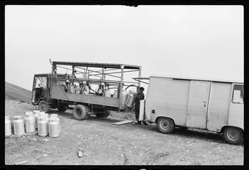 photographie Changement du lait pour coopérative de Beaufort Ph.1977.133.42 Photo