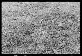 photographie Montagne des Rognoux Ph.1977.133.55 Photo