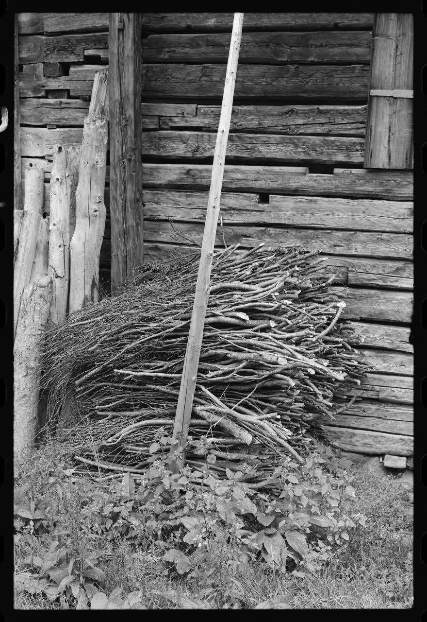 photographie Arcosses(aulne vert). Chemin de la Louze Ph.1977.133.71 Photo