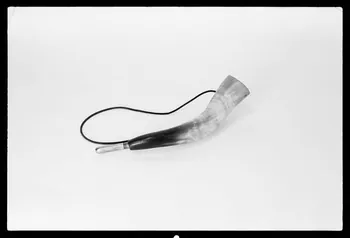 photographie Trompe d'appel. Corne de bovin Ph.1977.52.27 Photo