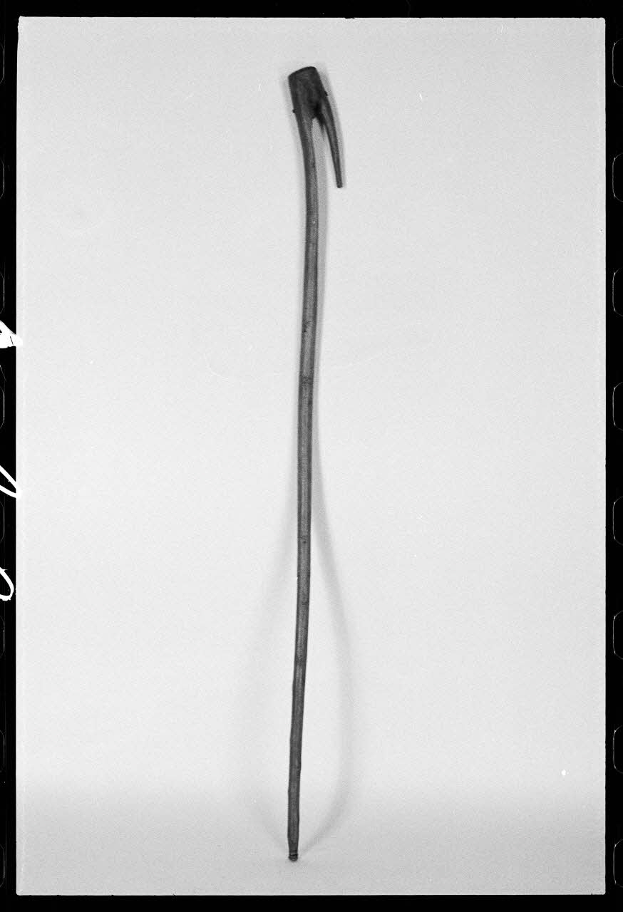 photographie Crochet de berger Ph.1978.1.188 Photo