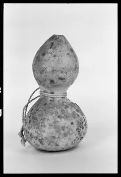 photographie Calebasse Ph.1978.1.297  Photo