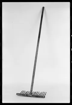photographie Outillage spécialisé : râteau d'ostréiculteur Ph.1978.1.585 Photo