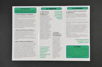 AIDES Dépliant "Aides En pratique : La toxoplasmose" France 1998 2003.100.25  Photo Mucem