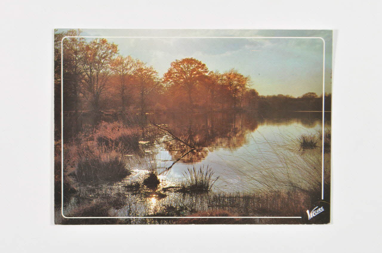 Hôpital Pasteur - Personnel et malades carte postale France 1999 2003.100.35 Photo Mucem