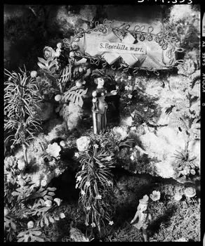 photographie Crèche en verre, mousse et bois Ph.1992.1.393  Photo
