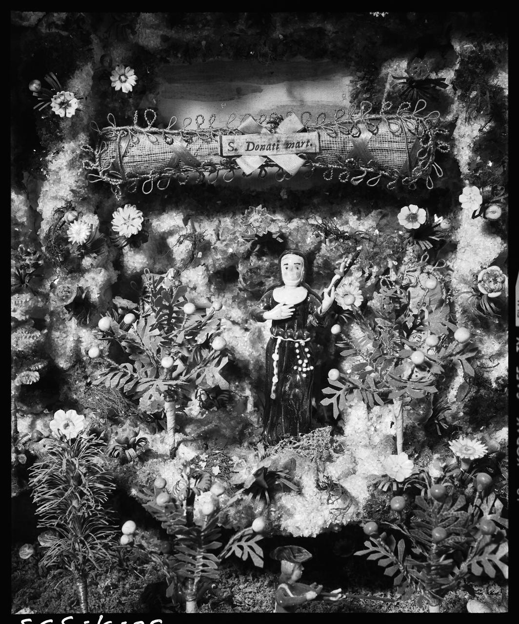 photographie Crèche en verre, mousse et bois Ph.1992.1.395  Photo