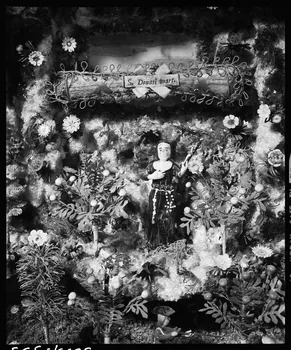 photographie Crèche en verre, mousse et bois Ph.1992.1.395  Photo