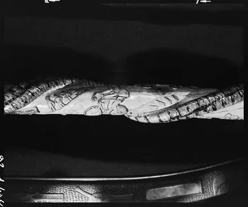 photographie Bâton de berger sculpté au couteau. "Tour de France 1952" Ph.1992.1.404  Photo