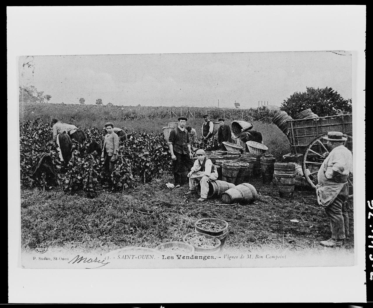Anonyme photographie Les vendanges... . Ile-de-France, France 1992 Ph.1992.113.2  Photo