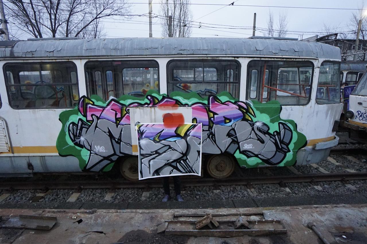 Mser photographie Prélèvement d'une toile tendue sur un train graffé Munténie, Roumanie 2022 2024.7.5.2 Photo