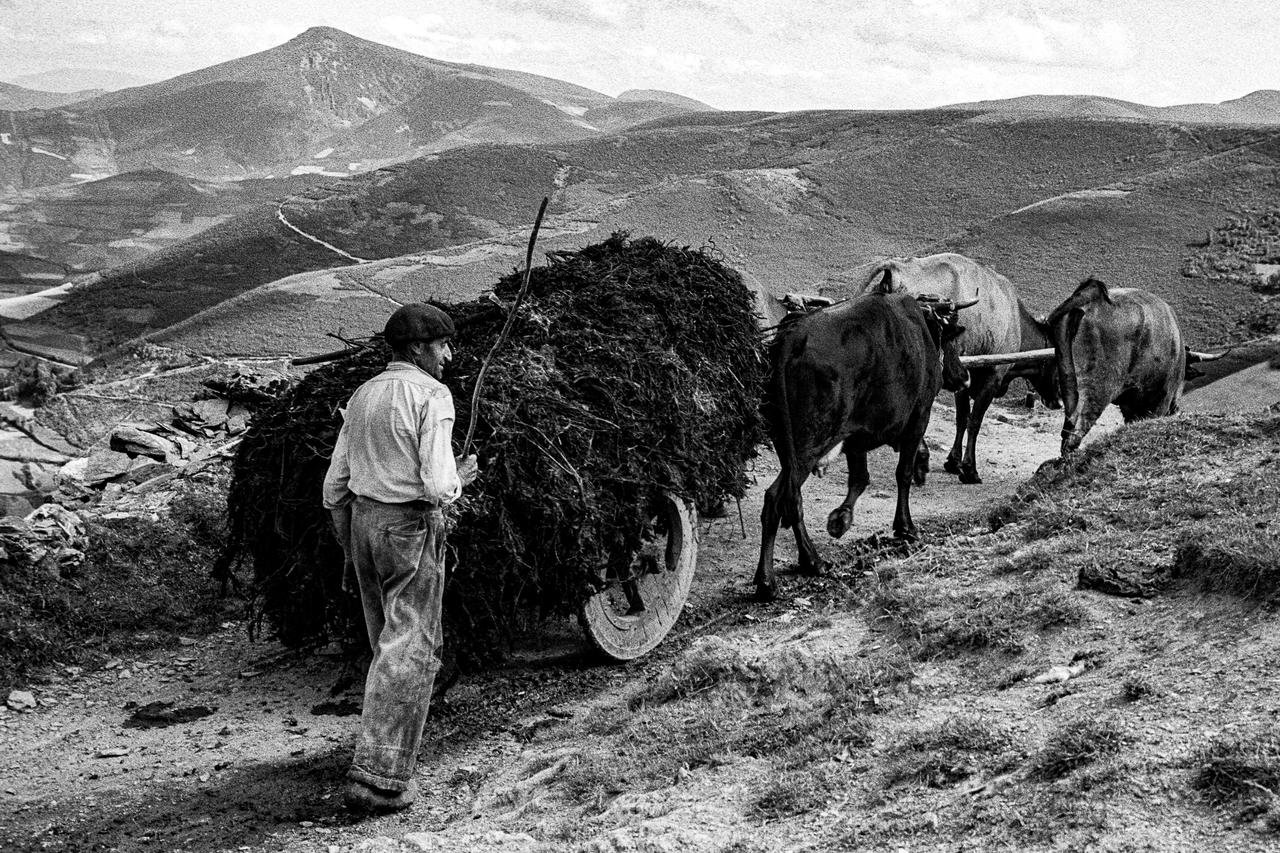 André Martin tirage photographique moderne Transport en charrette Galice, Espagne 1956 2025.1.2 Photo André Martin
