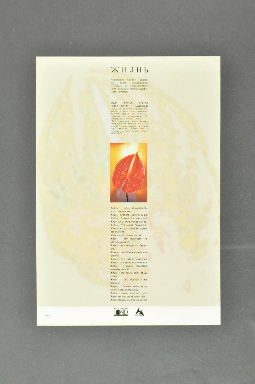 affiche Affiche "ELU" Ema Teresa manifest" (en russe) 2005.115.47 Photo Mucem