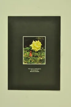 Equilibrium Health Resources Ltd revue "Equilibrium. The best in HIV alternative and complementary medicine" (Ce qu'il y a de mieux en médecine alternative et complémentaire) Grande Bretagne 1997/12 2003.108.10 Photo Mucem