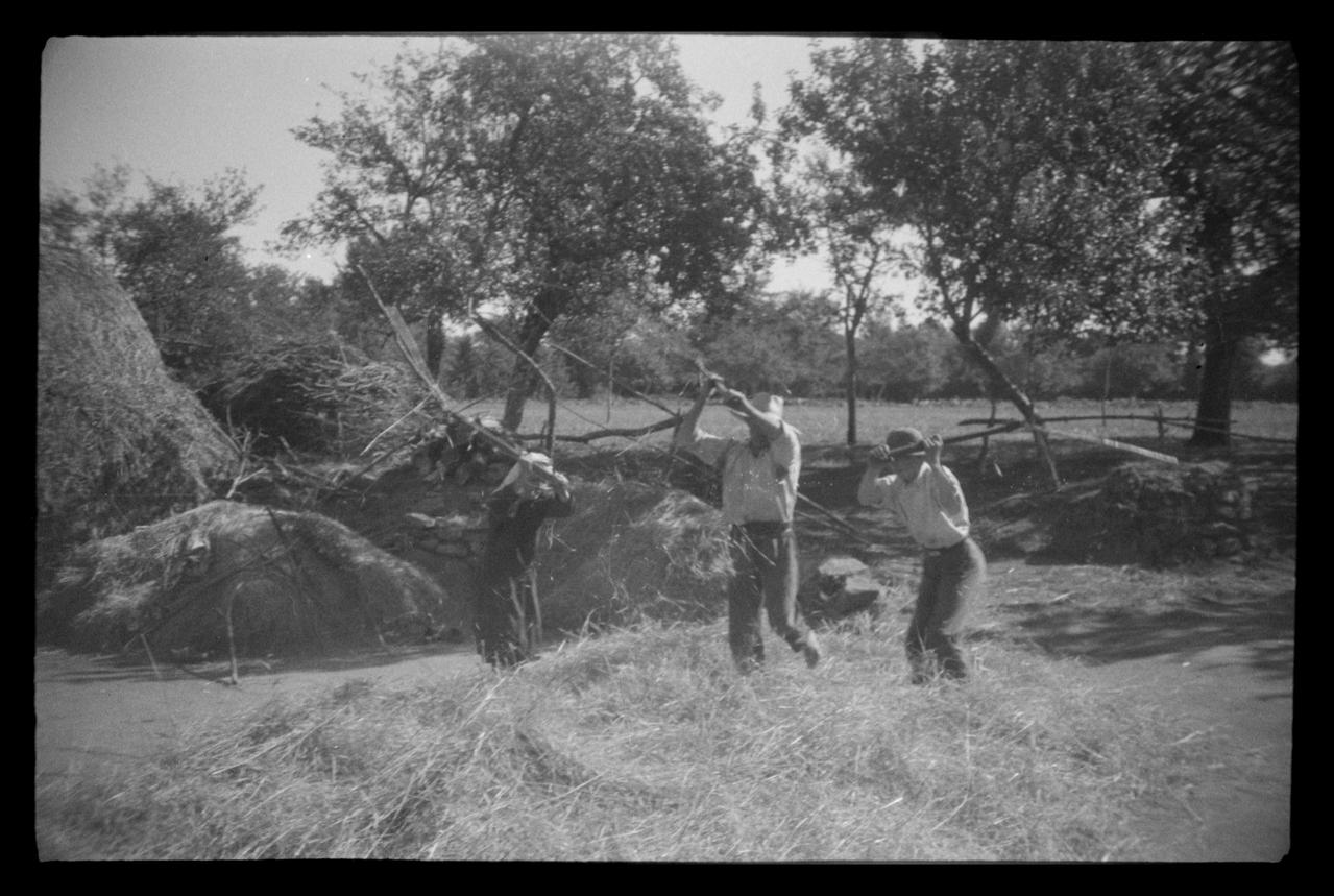 Montfort photographie Battage au fléau et village de Kerhyou Bretagne, France 1943/8/31 Ph.1943.323.54 Photo