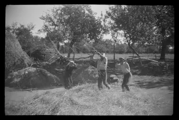 Montfort photographie Battage au fléau et village de Kerhyou Bretagne, France 1943/8/31 Ph.1943.323.54 Photo